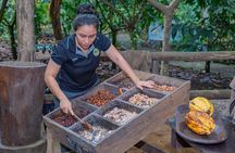 Rainforest Chocolate Tour from La Fortuna