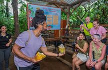 Rainforest Chocolate Tour from La Fortuna