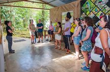 Rainforest Chocolate Tour from La Fortuna
