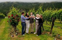 Zip and Sip Ziplining and Wine Tour Combo