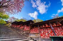 Nara, Osaka & Katsuo-ji Private Tour with English Guide & Vehicle