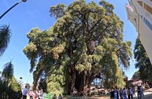 Magical Route Oaxaca Tule, Mitla, Boil Water and Mezcal