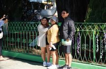 Magical Route Oaxaca Tule, Mitla, Boil Water and Mezcal