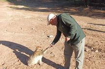 4-Day Sahara Desert Tour from Marrakech