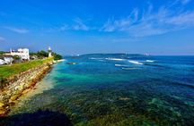 Udawalawe Safari and Galle Day Tour