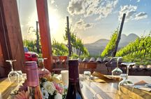 Vineyard Tasting and Aperitivo Day Trip from Rome