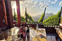 Vineyard Tasting and Aperitivo Day Trip from Rome
