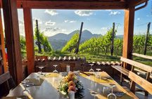 Vineyard Tasting and Aperitivo Day Trip from Rome