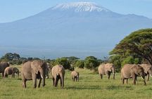 Private Day Tour Amboseli National Park View Mt. Kilimanjaro 4WD