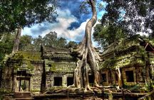 Private Angkor Wat Sunrise Small Tour