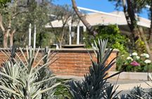 Pompeii : wine and oil tasting with aperitif on the Estate