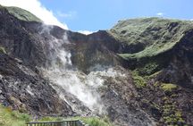 Private Yangmingshan National Park Hiking Day Tour from Taipei