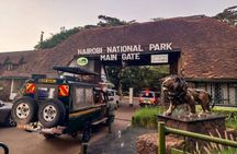 Half Day Guided Tour in Nairobi National Park with a 4WD