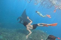 Lembongan Snorkeling Day Trip