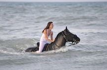 Horse Riding, Parasailing in Hurghada Beach, Gifted 3 Hours Spa