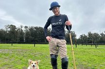 Polo Lessons in Mar del Plata: Learn and Improve Your Game