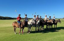Polo Lessons in Mar del Plata: Learn and Improve Your Game