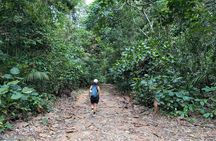 Jungle and Heritage Walk in Singapore