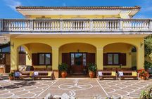 Naples: Visit to the Cellar and Wine Tasting on Astroni Crater