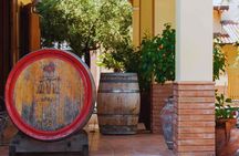 Naples: Visit to the Cellar and Wine Tasting on Astroni Crater