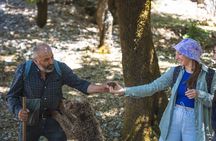 Truffle Hunting and Beekeeping in Crete Rouva Forest