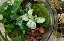 Create your Own Glass Garden Terrarium Workshop in Milan