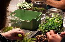 Create your Own Glass Garden Terrarium Workshop in Milan