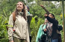 Rio Celeste, Sloth Watching & Waterfall Rainforest Experience