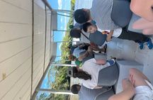 Palo Verde Wildlife Safari Adventure Sloth Watching &