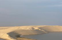 Doha Half-Day Desert Safari with Dune Bashing Camel Ride 