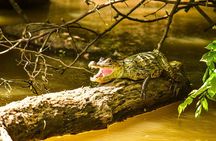 Caño Negro Wildlife Boat Safari from La Fortuna (Full-Day Tour)