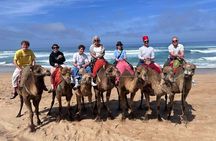 4 Hour Private Tangier Tour 