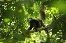 Wildlife & Nature River Safari Float on Peñas Blancas (Half-Day)