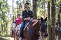 Long Goethe Forest Horseback Trail Ride