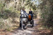 Goethe Forest Carriage Ride (Holds up to 4 People)