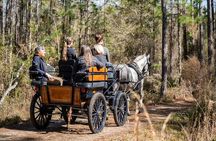 Goethe Forest Carriage Ride (Holds up to 4 People)