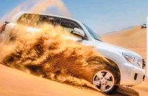 Dubai Desert Safari, Private Car Tour, Camel Ride, Sand-boarding 