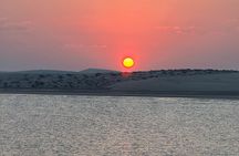 Doha Desert Safari Adventures in Day and Night 