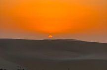 Doha Desert Safari Adventures in Day and Night 