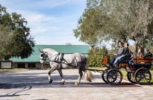 Sunset Carriage Ride and Dinner (Holds up to 4 People)