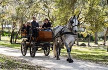Sunset Carriage Ride and Dinner (Holds up to 4 People)