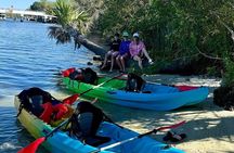 Crystal River: Three Sisters Tandem Kayak Dry Tour