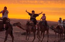 Agafay Desert: Dinner Show with Sunset Camel Ride