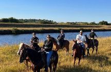 1 Hour ATV Tour & Horseback Riding Combo Experience