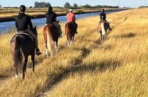 1 Hour ATV Tour & Horseback Riding Combo Experience