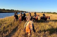 Guided Horseback Riding Adventure in Miami Countryside