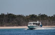 Great Sandy Straits Seven Island Ultimate Wildlife Cruise