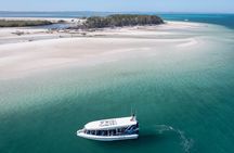 Great Sandy Straits Seven Island Ultimate Wildlife Cruise