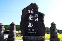 [For Cruise Guest]Jeju UNESCO Tour from Gangjeong Cruise Terminal