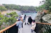 [For Cruise Guest]Jeju UNESCO Tour from Gangjeong Cruise Terminal